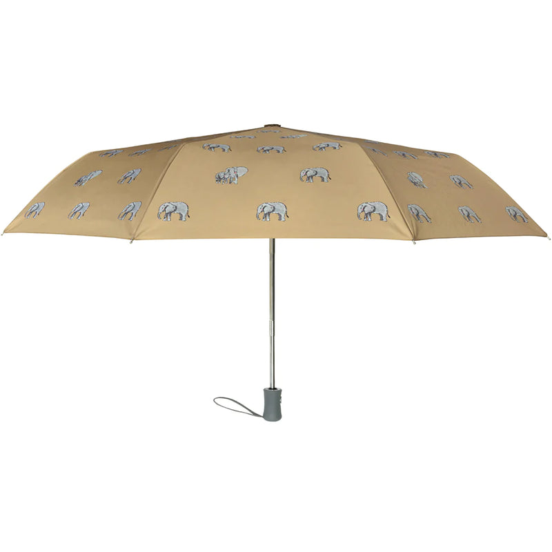 Sophie Allport Umbrella