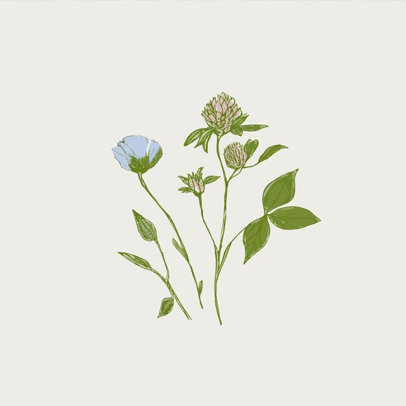 Paviot Fleurs Des Trefle Dinner Napkin