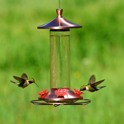 Hummingbird Feeder Bronze