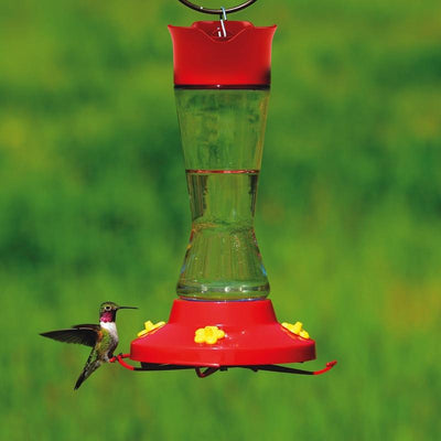 Perky-Pet Hummingbird 16 oz. Glass Nectar Feeder 4 ports