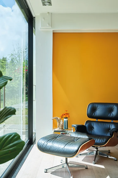 Farrow & Ball "Colour by Nature" Dutch Orange #W76