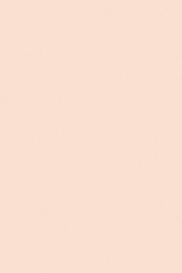 Farrow & Ball Pink Ground 